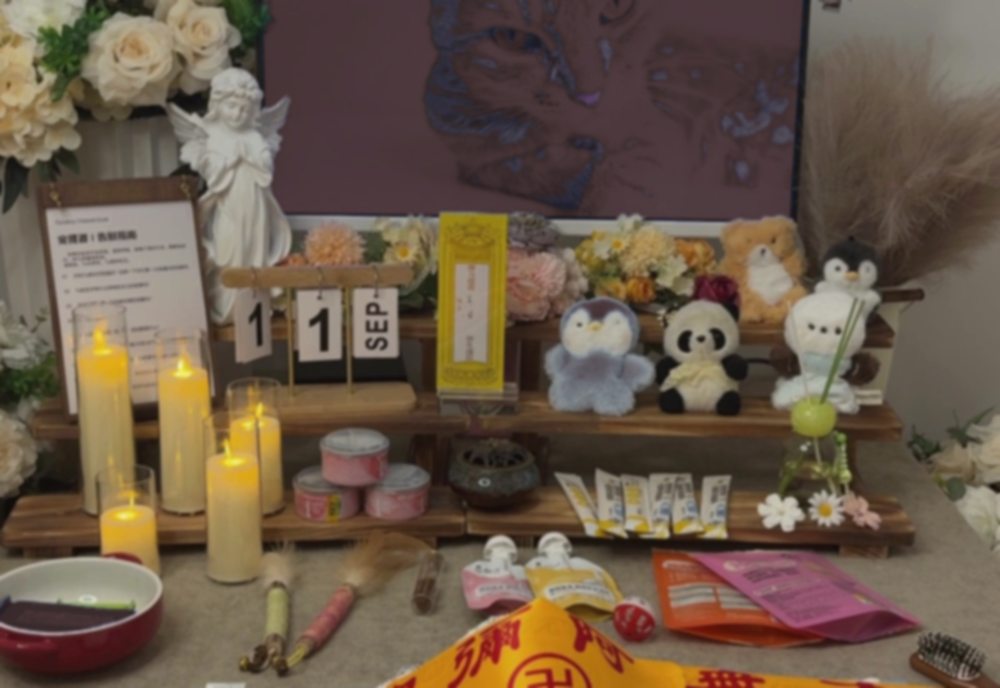 宠摆渡绵阳独立告别仪式厅实景
